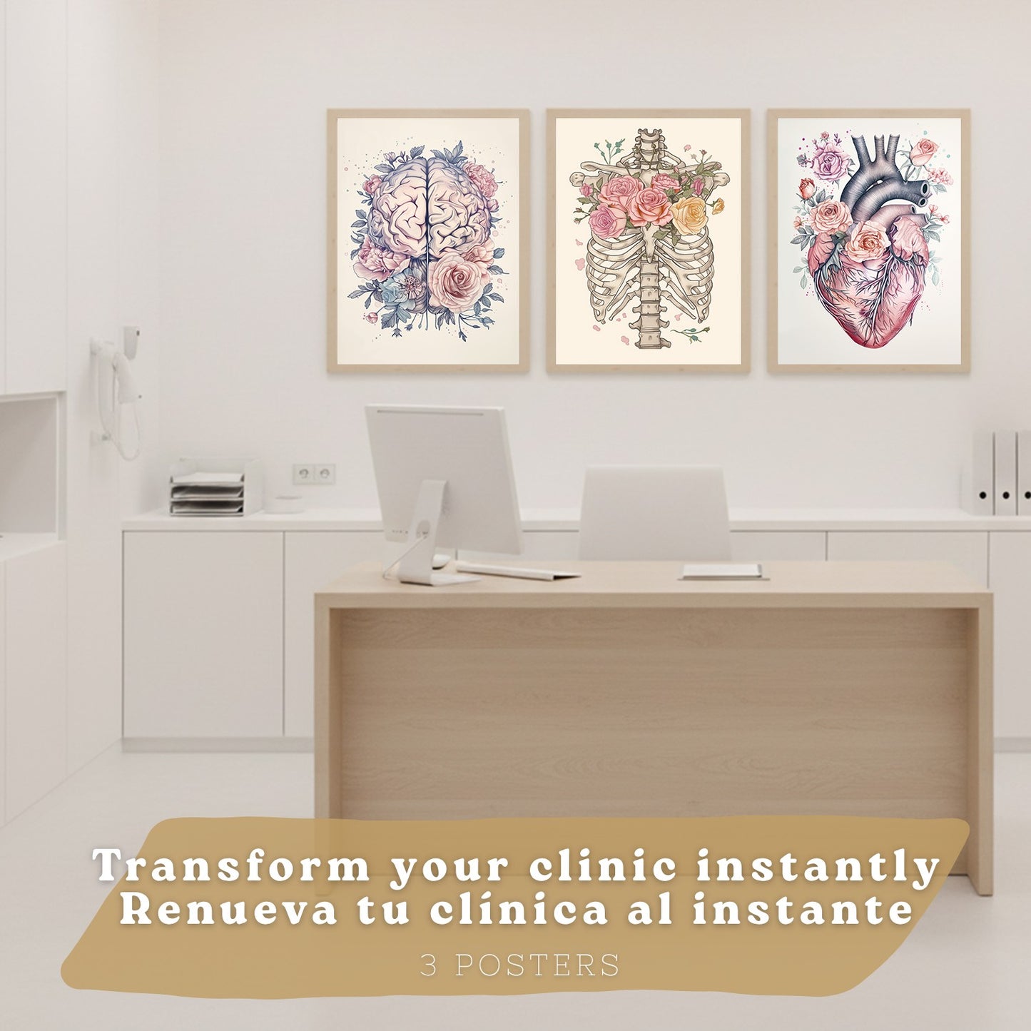 Set 3 Láminas de Anatomía Neural Posters y Cuadros con Neuronas, Sinapsis y Cerebro Estilo Floral Minimalista