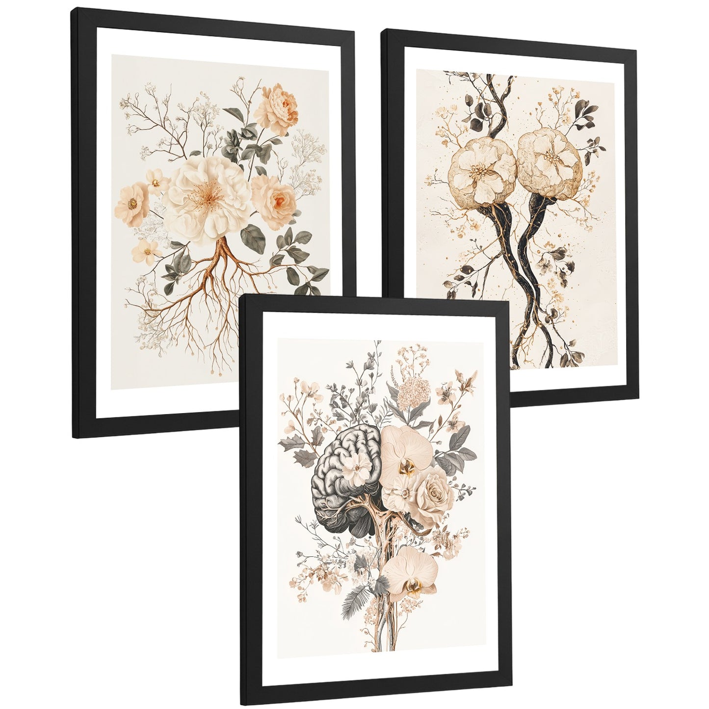 Set 3 Láminas de Anatomía Neural Posters y Cuadros con Neuronas, Sinapsis y Cerebro Estilo Floral Minimalista