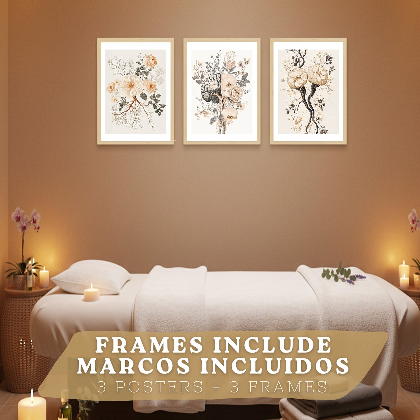 Set 3 Láminas de Anatomía Neural Posters y Cuadros con Neuronas, Sinapsis y Cerebro Estilo Floral Minimalista