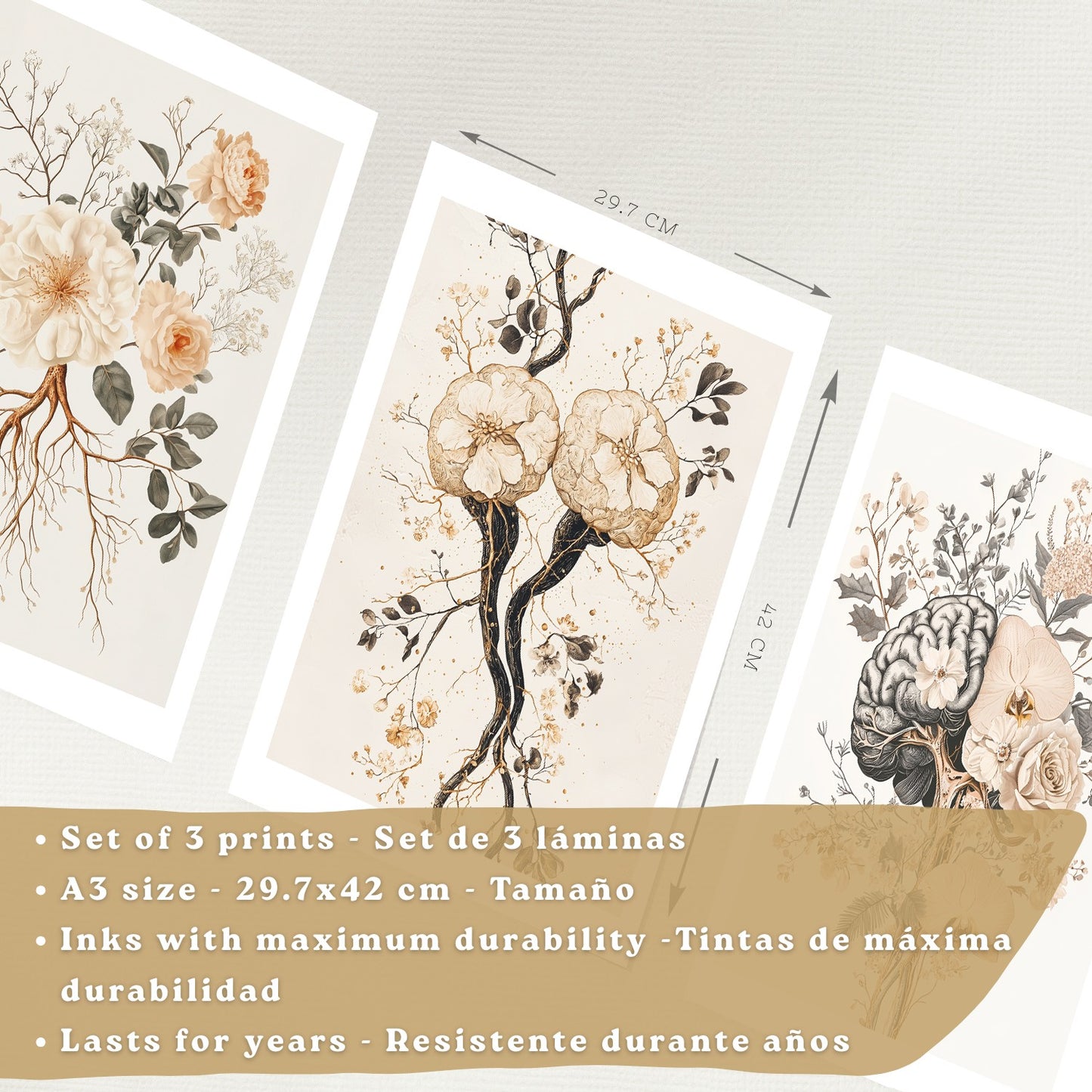 Set 3 Láminas de Anatomía Neural Posters y Cuadros con Neuronas, Sinapsis y Cerebro Estilo Floral Minimalista