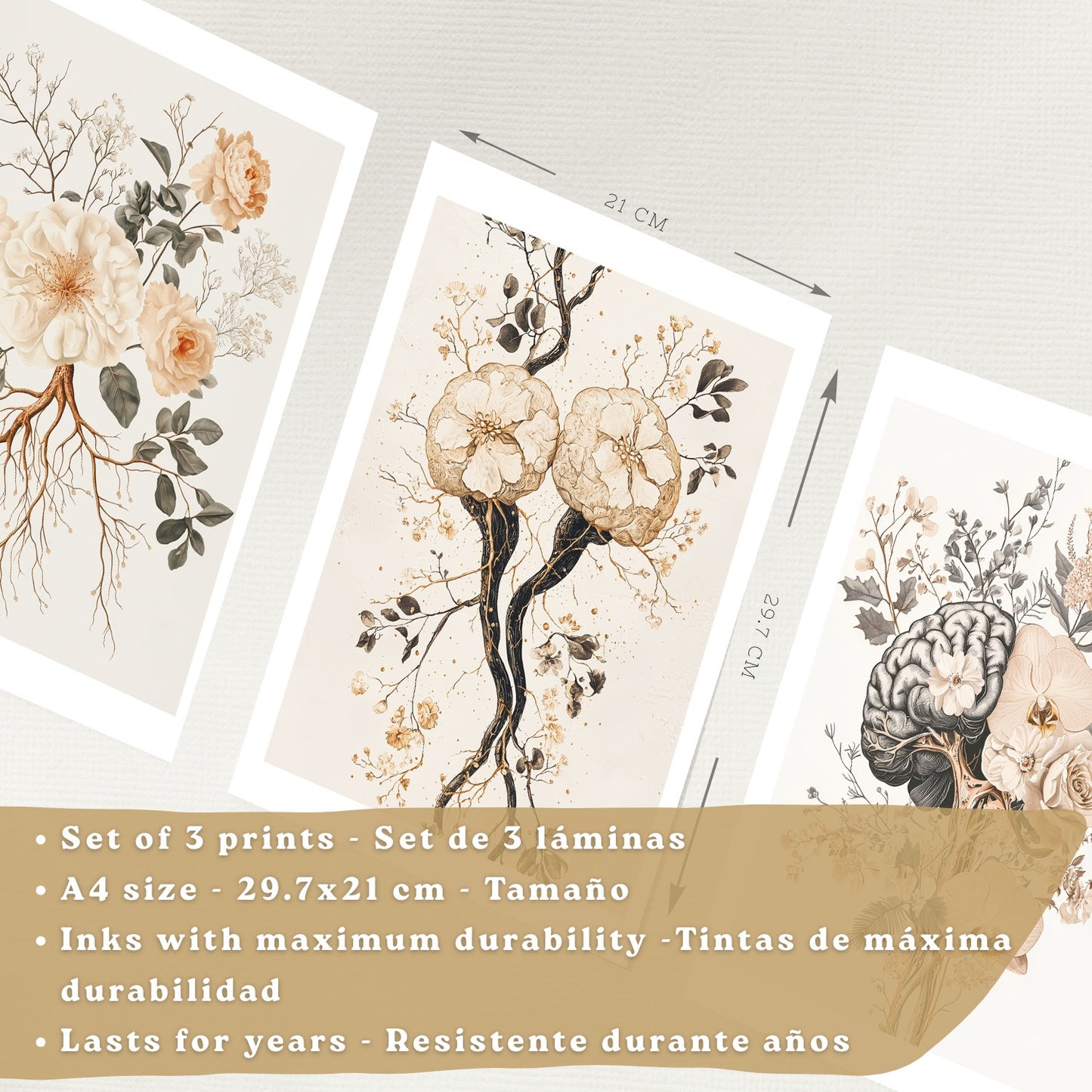 Set 3 Láminas de Anatomía Neural Posters y Cuadros con Neuronas, Sinapsis y Cerebro Estilo Floral Minimalista