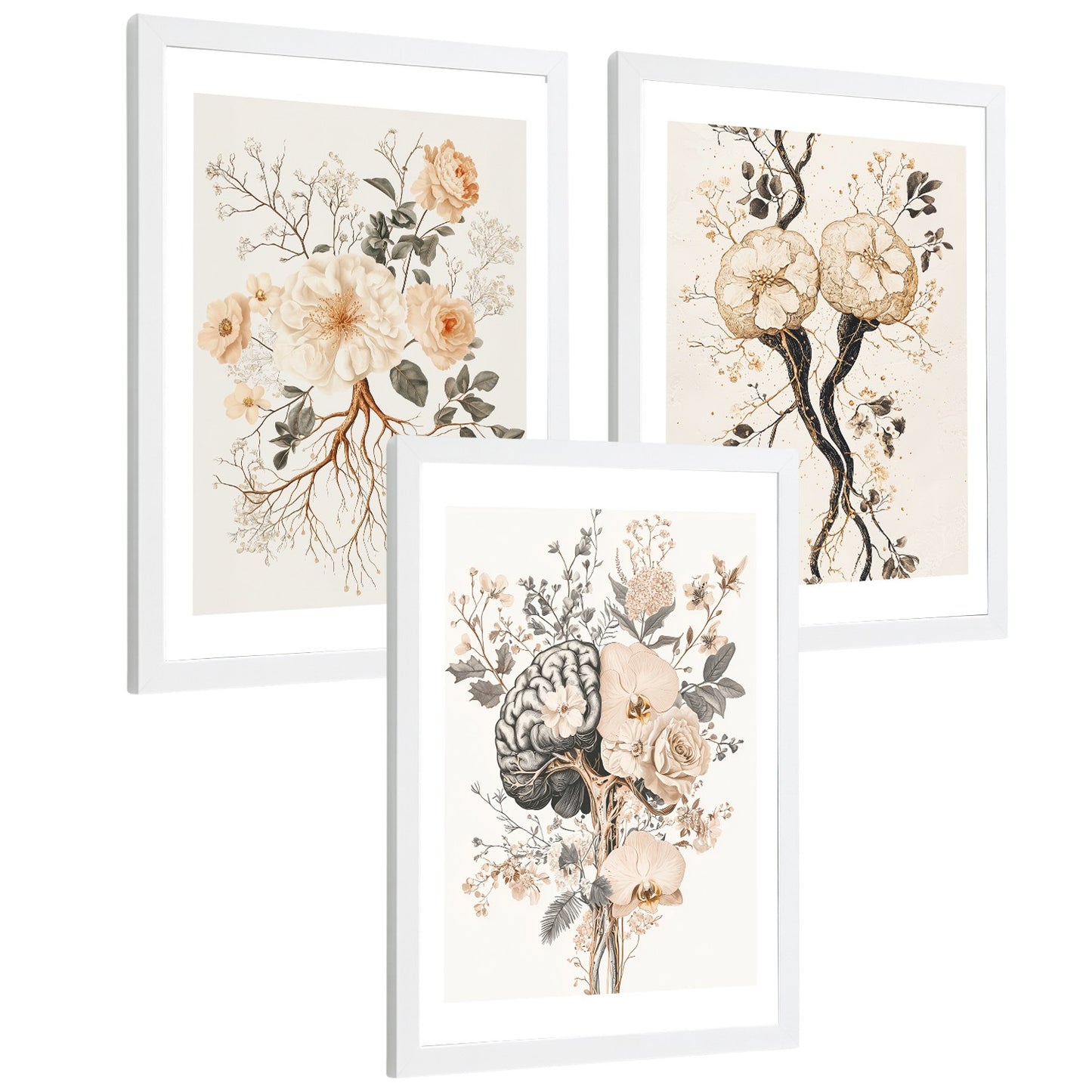 Set 3 Láminas de Anatomía Neural Posters y Cuadros con Neuronas, Sinapsis y Cerebro Estilo Floral Minimalista
