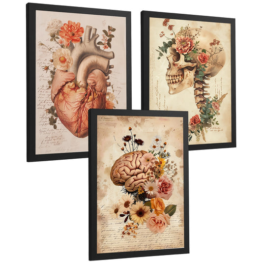 Set 3 Láminas de Anatomía Humana Posters y Cuadros con Corazón Cerebro y Cráneo Estilo Vintage Floral
