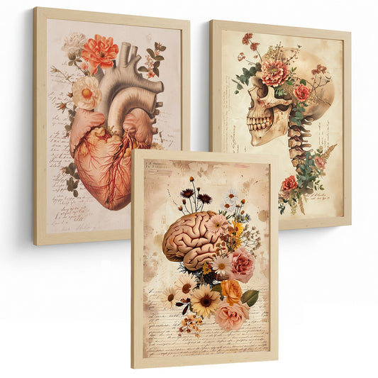 Set 3 Láminas de Anatomía Humana Posters y Cuadros con Corazón Cerebro y Cráneo Estilo Vintage Floral