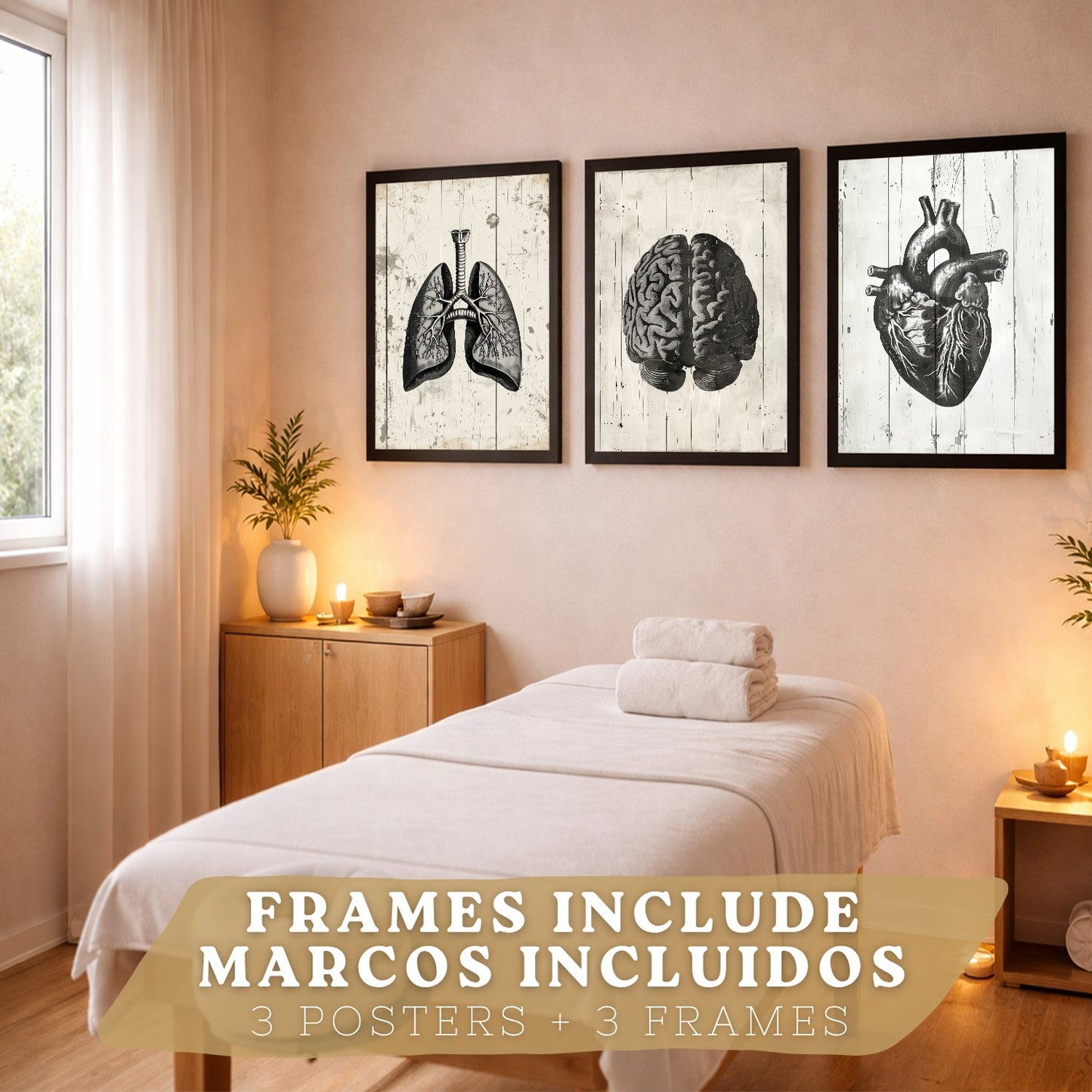 Set 3 Cuadros Decorativos de Anatomía Humana Láminas y Posters con Cerebro Corazón Pulmones Tráquea Bronquios Diseño Industrial Blanco y Negro