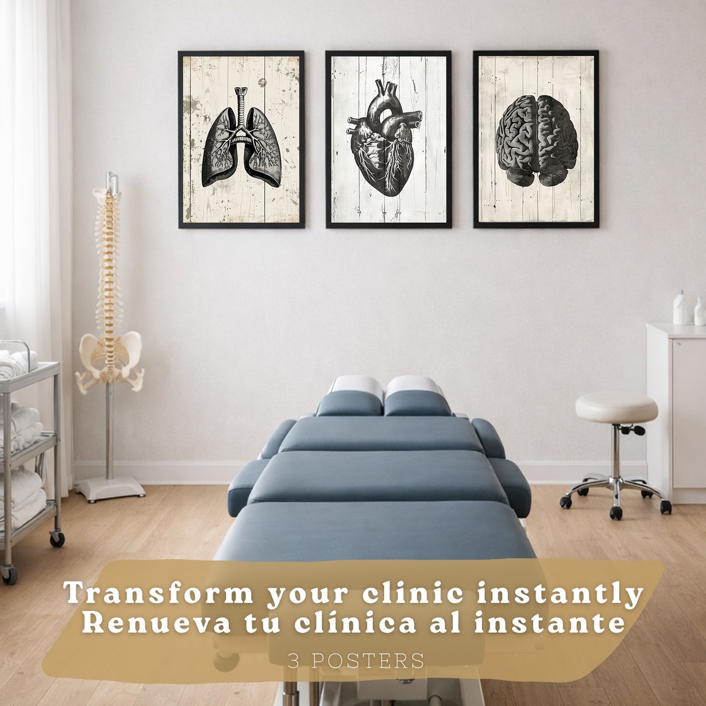 Set 3 Cuadros Decorativos de Anatomía Humana Láminas y Posters con Cerebro Corazón Pulmones Tráquea Bronquios Diseño Industrial Blanco y Negro