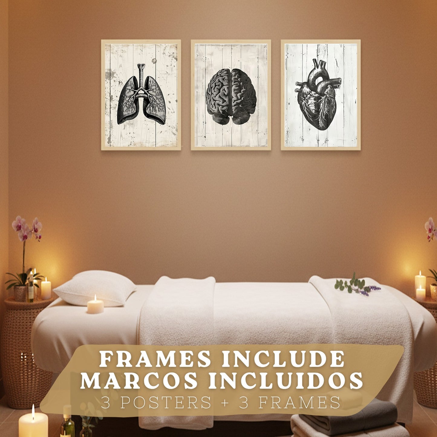 Set 3 Cuadros Decorativos de Anatomía Humana Láminas y Posters con Cerebro Corazón Pulmones Tráquea Bronquios Diseño Industrial Blanco y Negro