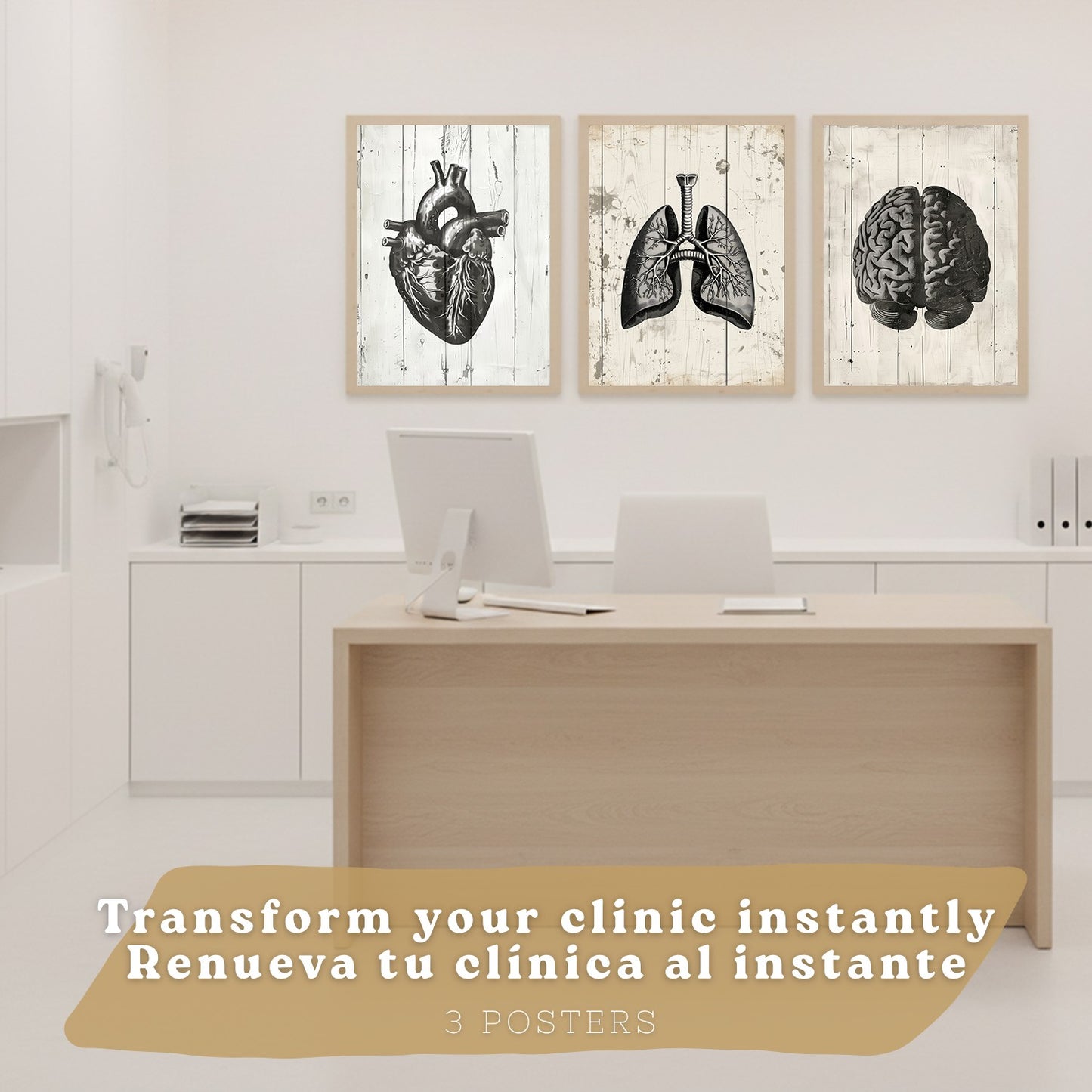 Set 3 Cuadros Decorativos de Anatomía Humana Láminas y Posters con Cerebro Corazón Pulmones Tráquea Bronquios Diseño Industrial Blanco y Negro