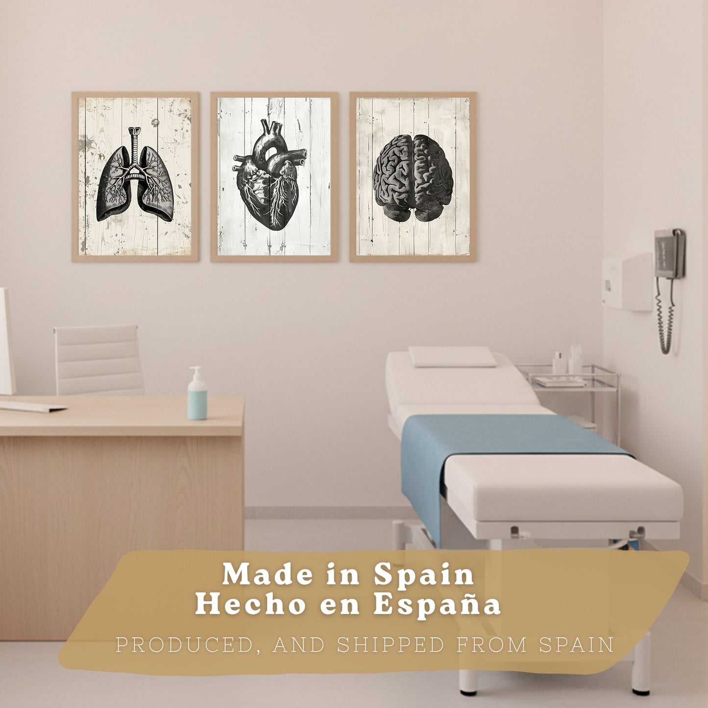 Set 3 Cuadros Decorativos de Anatomía Humana Láminas y Posters con Cerebro Corazón Pulmones Tráquea Bronquios Diseño Industrial Blanco y Negro
