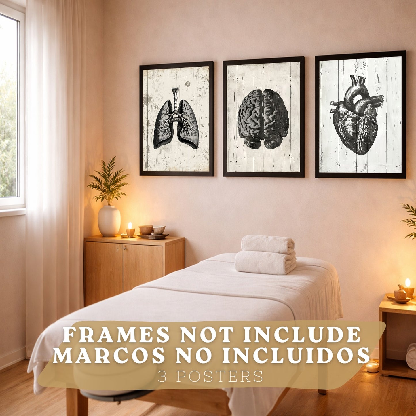 Set 3 Cuadros Decorativos de Anatomía Humana Láminas y Posters con Cerebro Corazón Pulmones Tráquea Bronquios Diseño Industrial Blanco y Negro