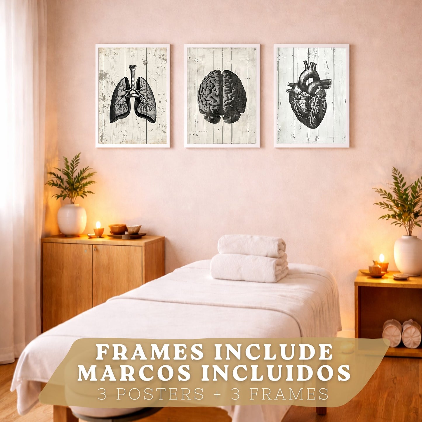 Set 3 Cuadros Decorativos de Anatomía Humana Láminas y Posters con Cerebro Corazón Pulmones Tráquea Bronquios Diseño Industrial Blanco y Negro