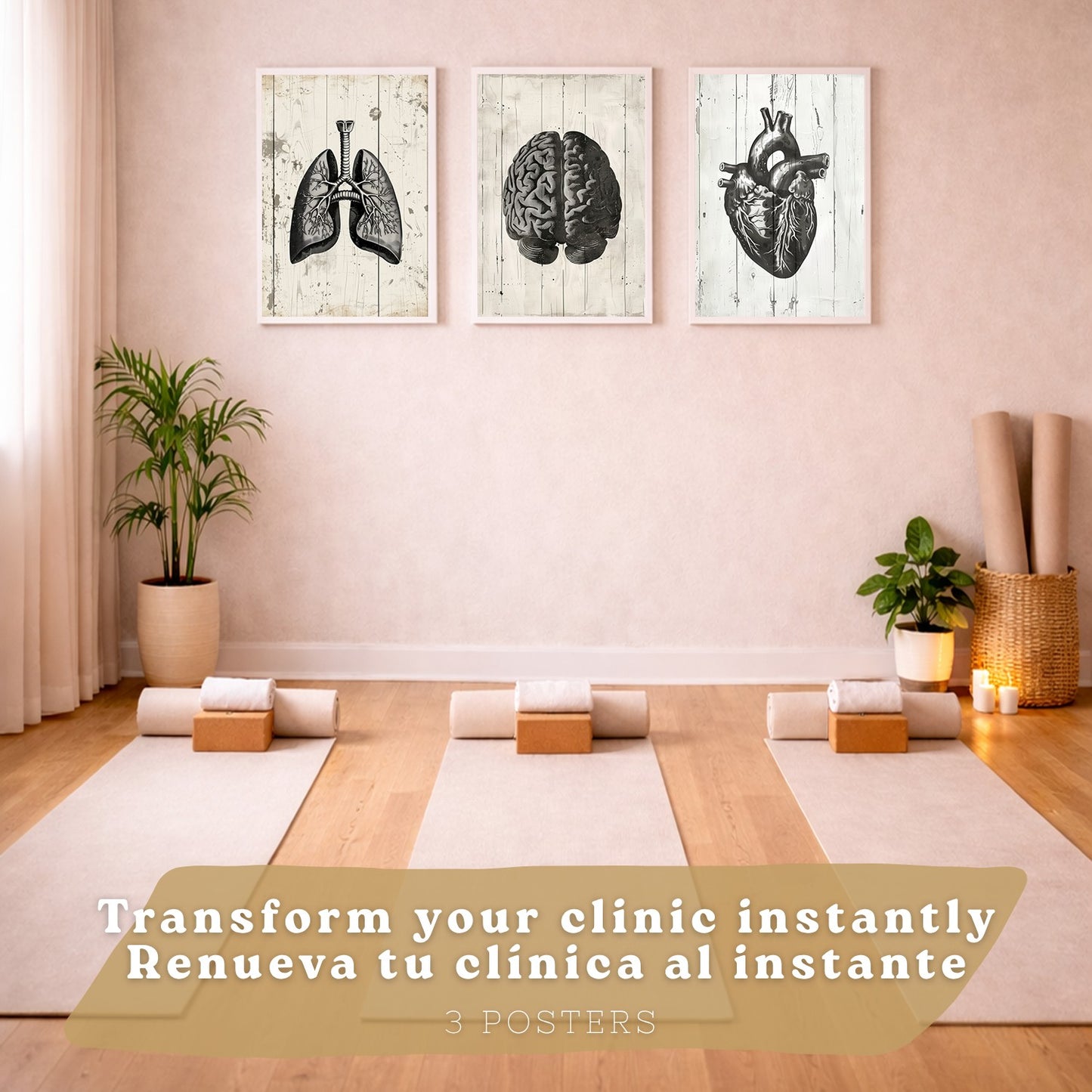Set 3 Cuadros Decorativos de Anatomía Humana Láminas y Posters con Cerebro Corazón Pulmones Tráquea Bronquios Diseño Industrial Blanco y Negro