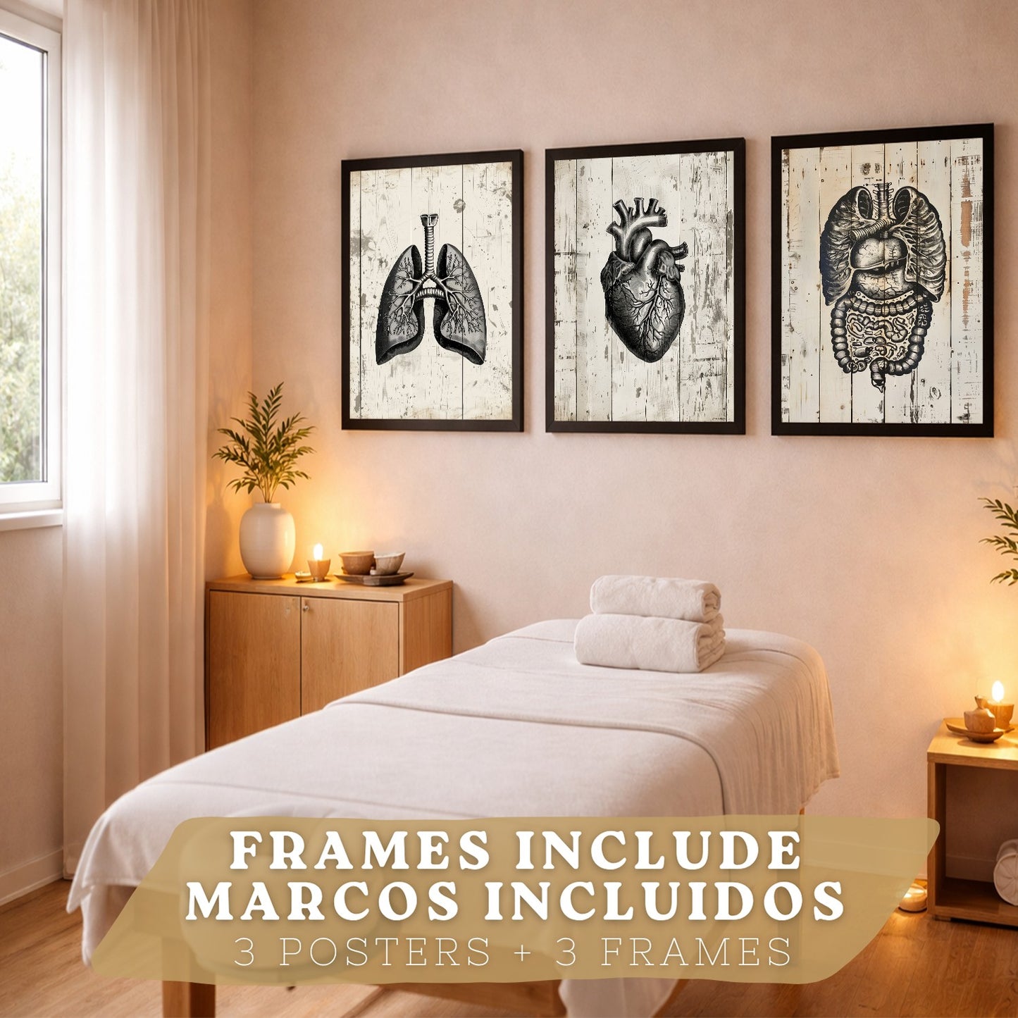 Set 3 Cuadros de Anatomía Humana Láminas con Pulmones Intestinos y Corazón Estilo Rústico Moderno