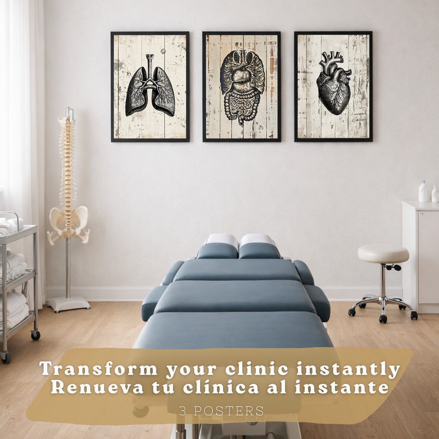 Set 3 Cuadros de Anatomía Humana Láminas con Pulmones Intestinos y Corazón Estilo Rústico Moderno
