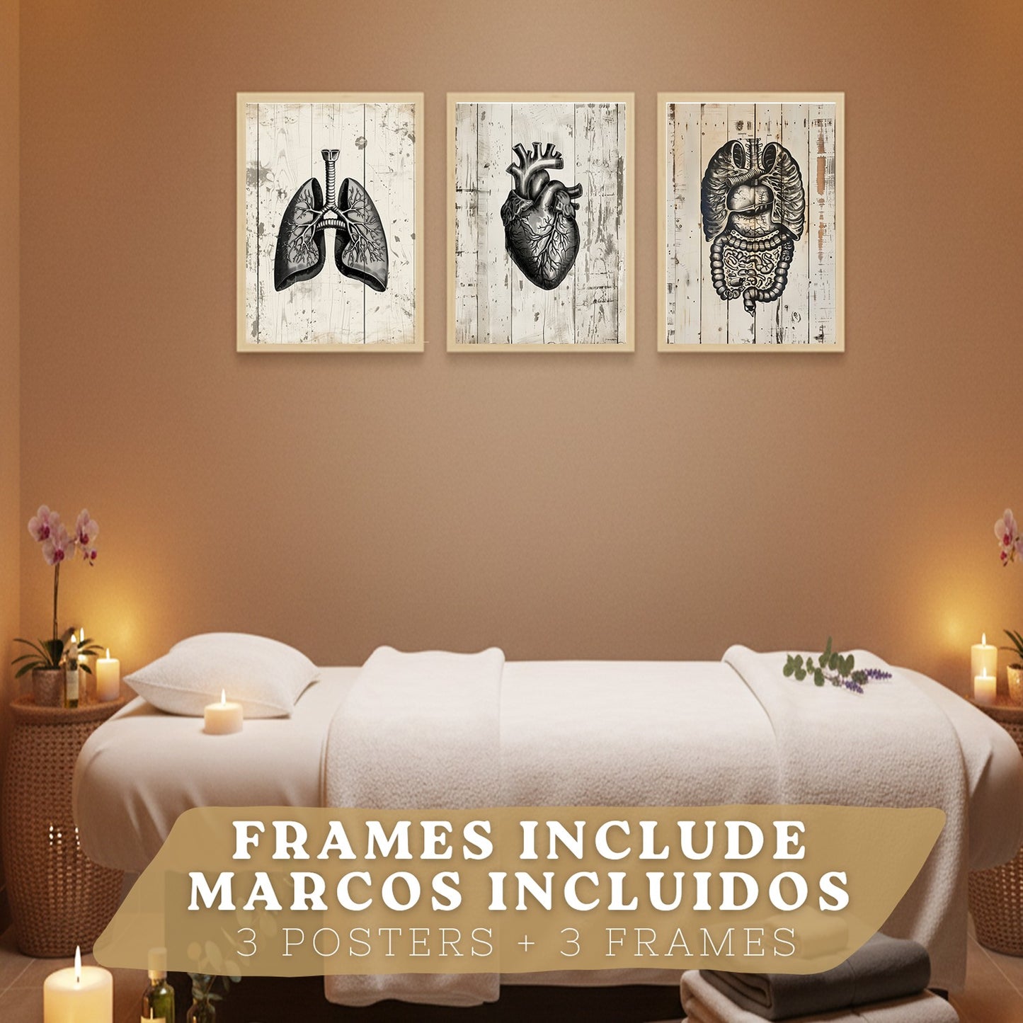 Set 3 Cuadros de Anatomía Humana Láminas con Pulmones Intestinos y Corazón Estilo Rústico Moderno