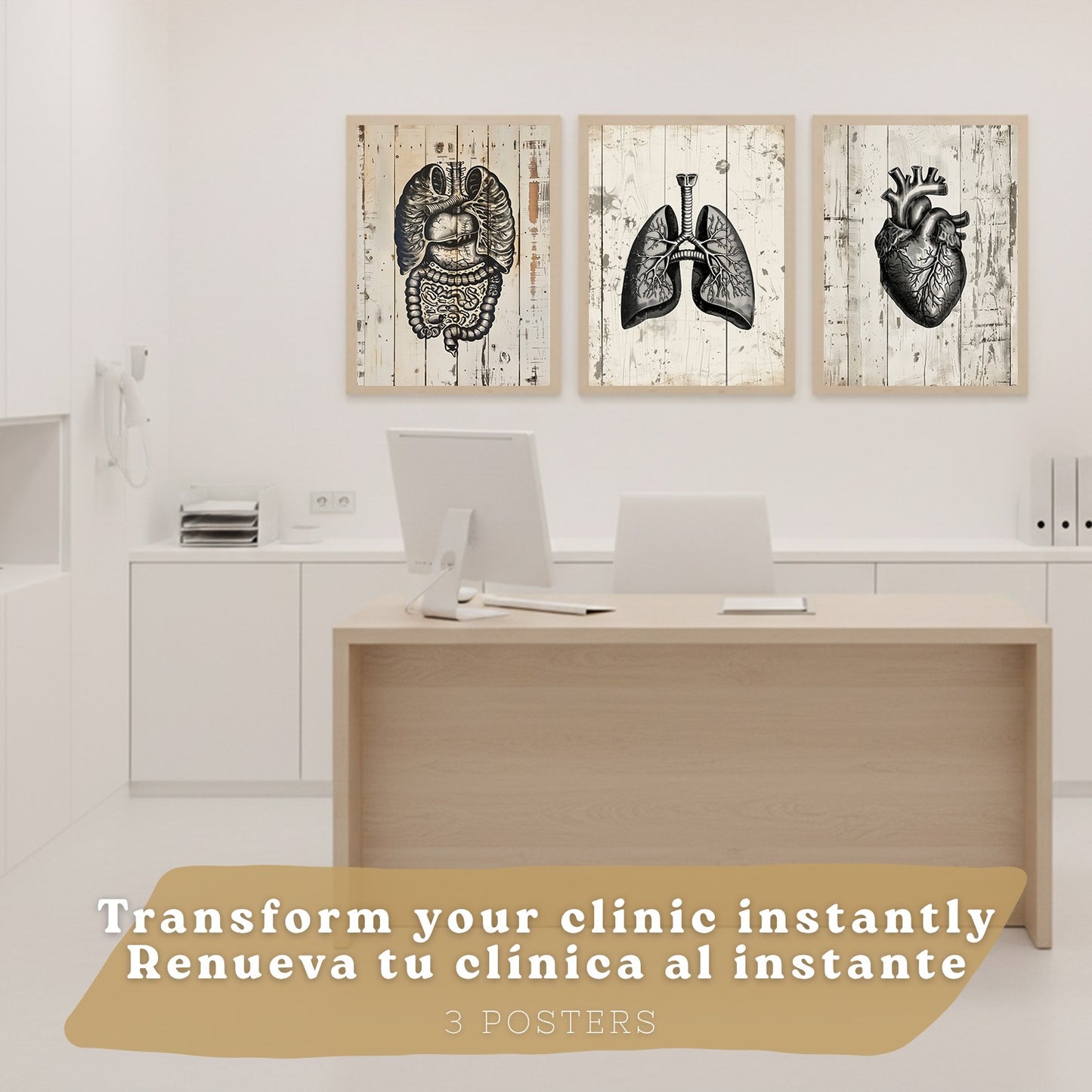 Set 3 Cuadros de Anatomía Humana Láminas con Pulmones Intestinos y Corazón Estilo Rústico Moderno