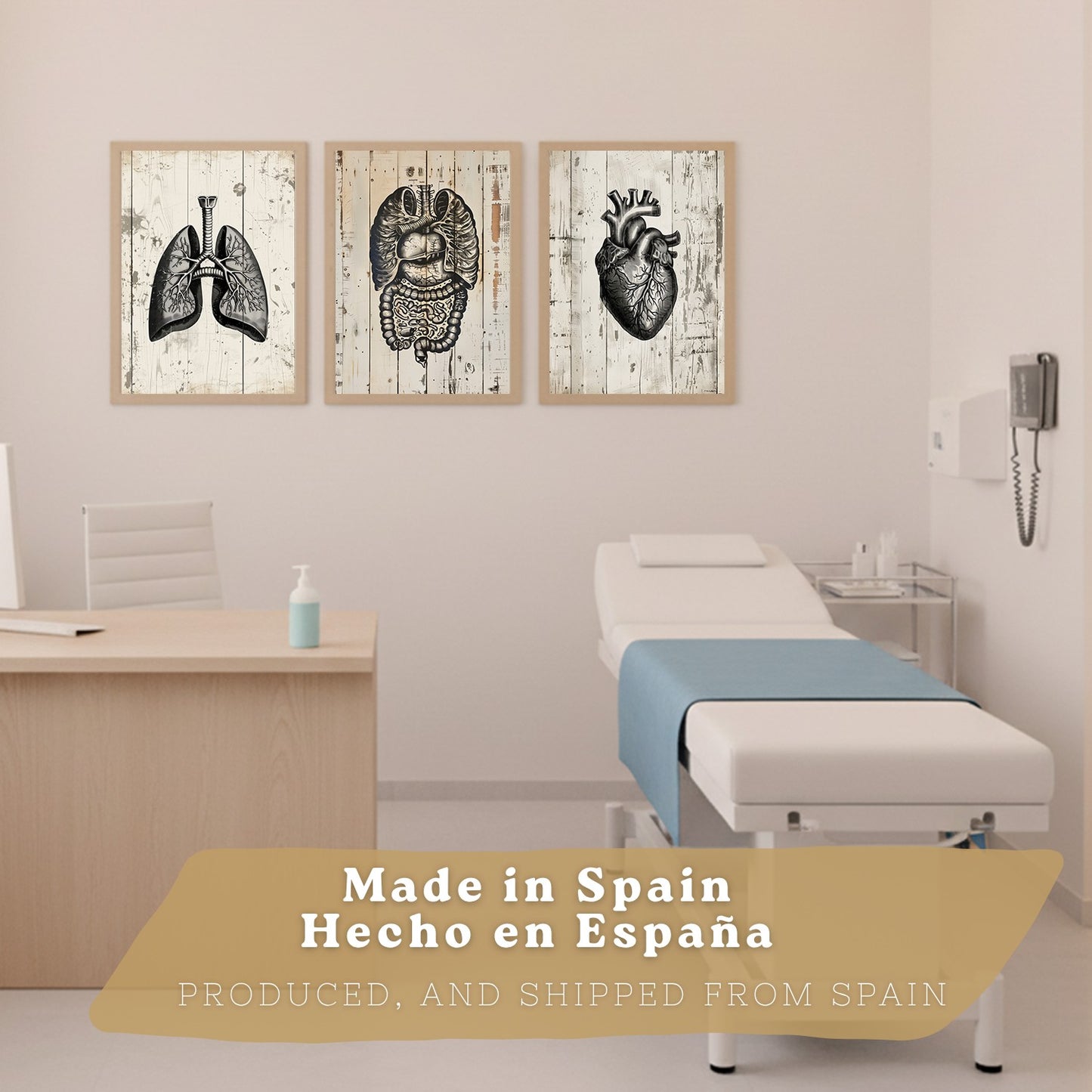 Set 3 Cuadros de Anatomía Humana Láminas con Pulmones Intestinos y Corazón Estilo Rústico Moderno