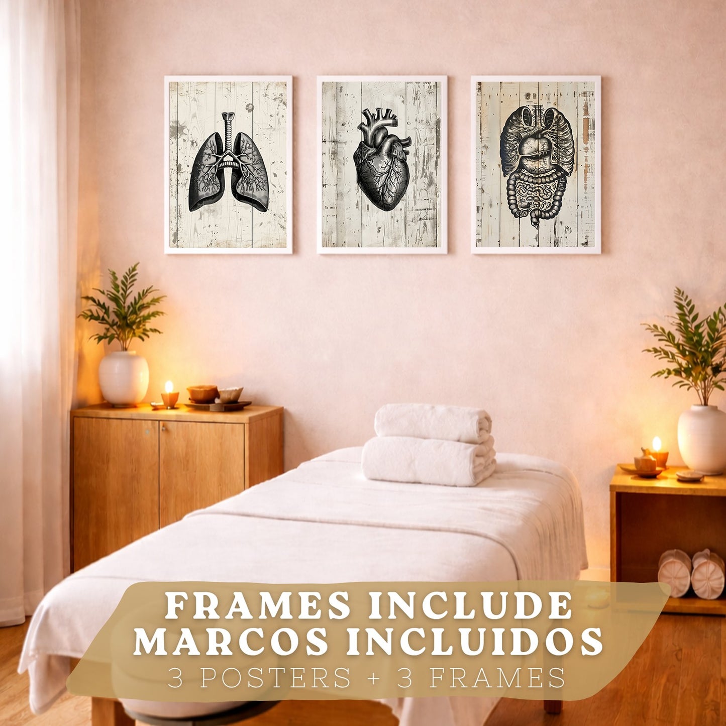 Set 3 Cuadros de Anatomía Humana Láminas con Pulmones Intestinos y Corazón Estilo Rústico Moderno