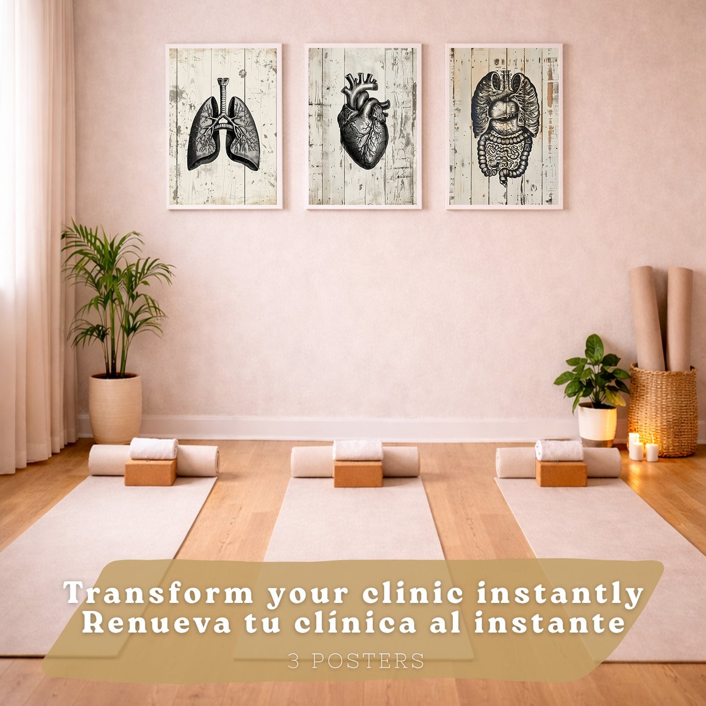 Set 3 Cuadros de Anatomía Humana Láminas con Pulmones Intestinos y Corazón Estilo Rústico Moderno