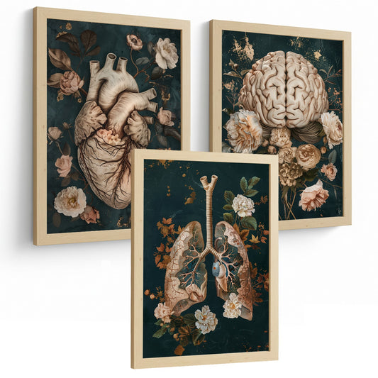 Set 3 Posters de Anatomía Láminas y Cuadros Decorativos con Corazón Cerebro Pulmones Sistema Respiratorio Estilo Vintage Floral Verde y Dorado