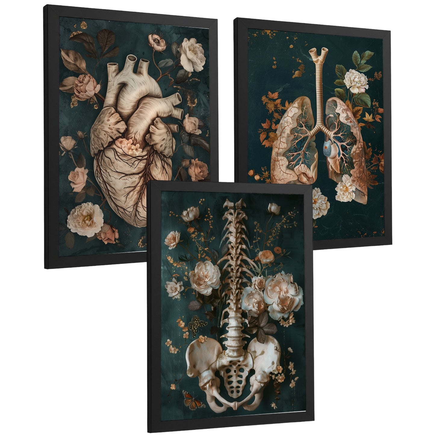 Set 3 Cuadros de Anatomía Humana Láminas con Corazón, Sistema Respiratorio y Esqueleto Estilo Botánico Elegante