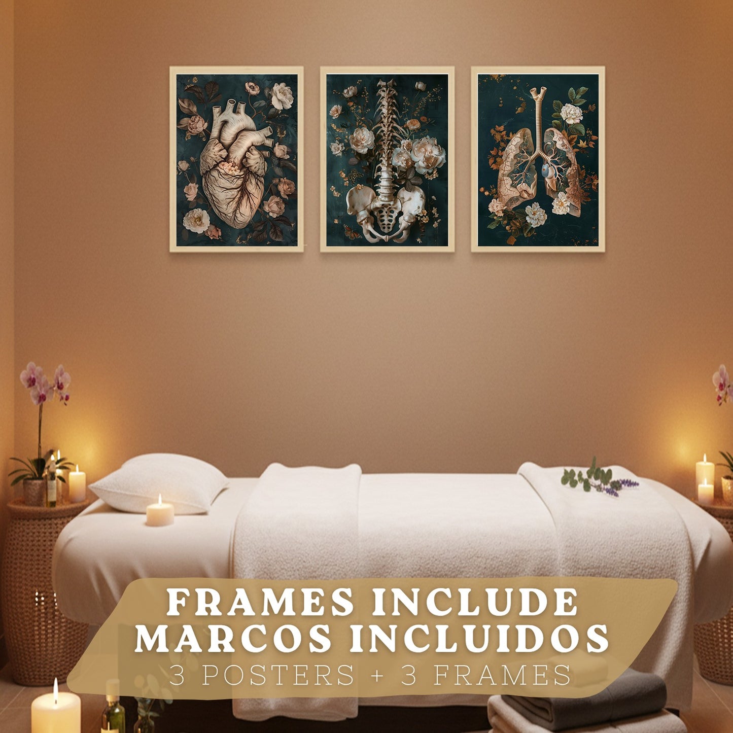 Set 3 Cuadros de Anatomía Humana Láminas con Corazón, Sistema Respiratorio y Esqueleto Estilo Botánico Elegante