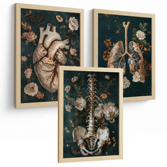 Set 3 Cuadros de Anatomía Humana Láminas con Corazón, Sistema Respiratorio y Esqueleto Estilo Botánico Elegante