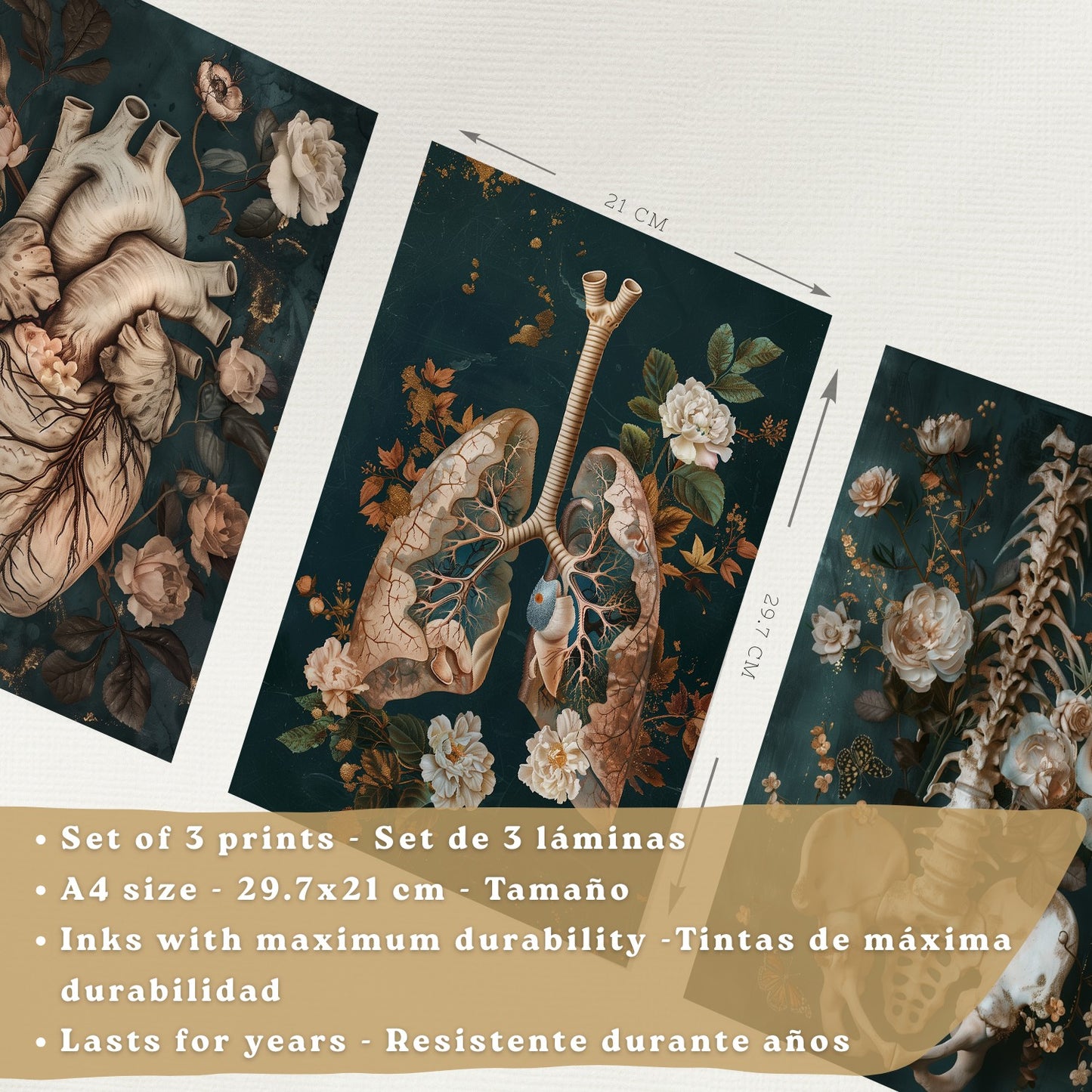 Set 3 Cuadros de Anatomía Humana Láminas con Corazón, Sistema Respiratorio y Esqueleto Estilo Botánico Elegante