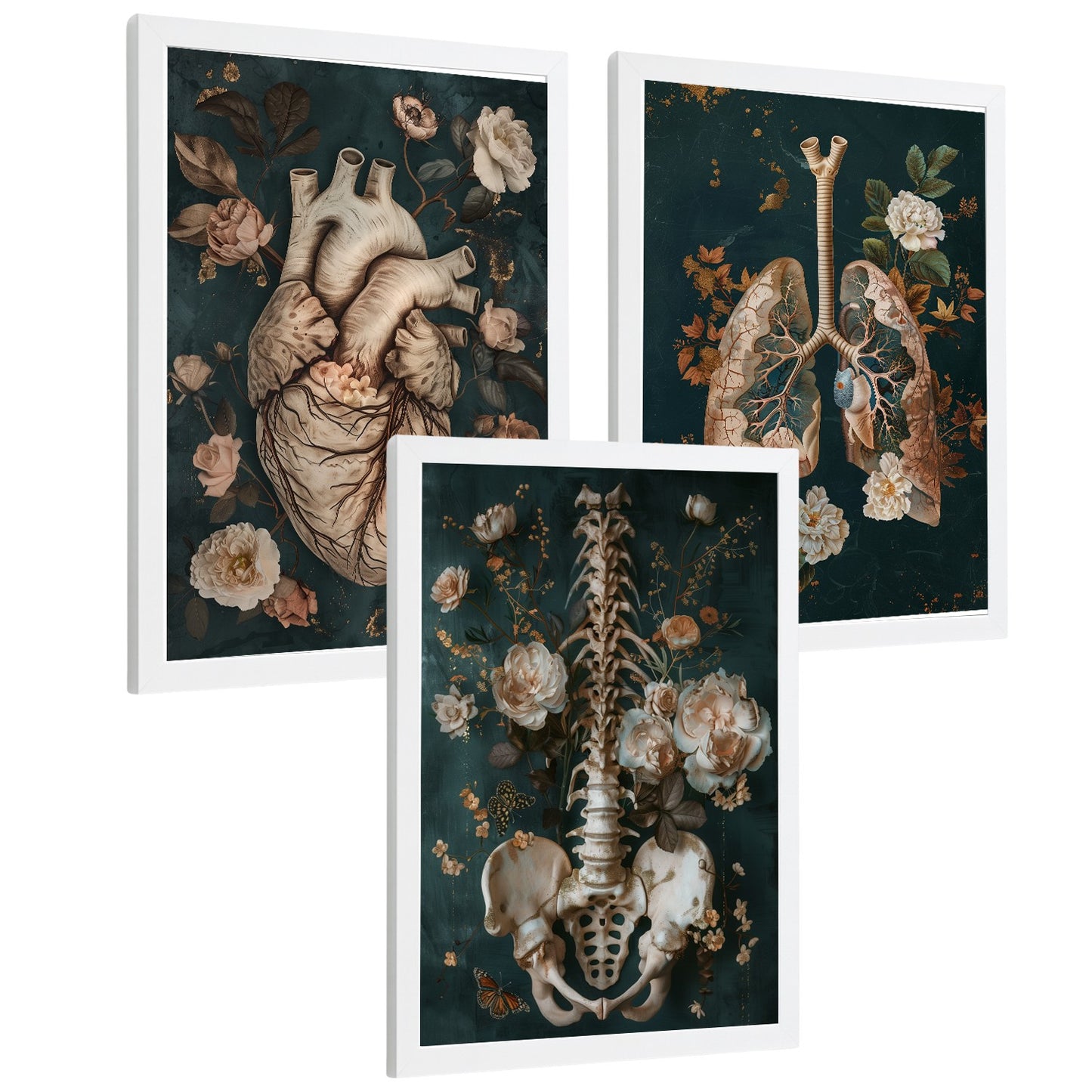 Set 3 Cuadros de Anatomía Humana Láminas con Corazón, Sistema Respiratorio y Esqueleto Estilo Botánico Elegante