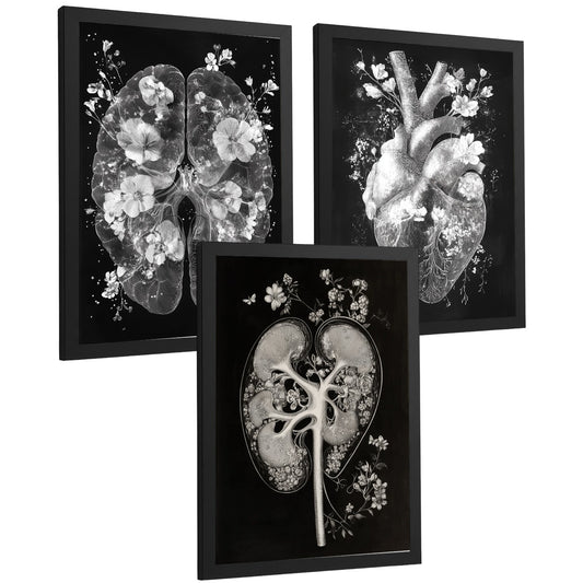 Set 3 Láminas Decorativas Anatomía Posters con Órganos Internos Cerebro Corazon, Riñones Diseño Minimalista Blanco y Negro