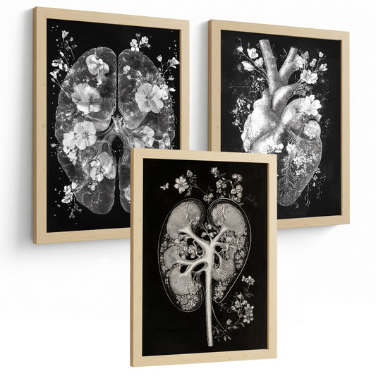 Set 3 Láminas Decorativas Anatomía Posters con Órganos Internos Cerebro Corazon, Riñones Diseño Minimalista Blanco y Negro