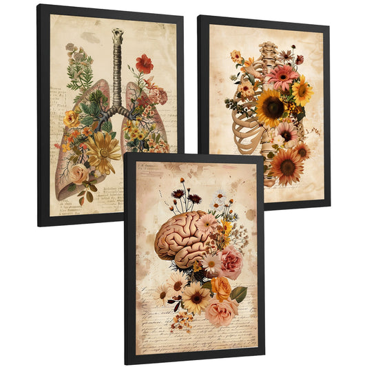 Set 3 Láminas de Anatomía Humana Floral Vintage Posters Decorativos con Pulmones Caja Torácica y Cerebro Cuadros Botánicos Estilo Antiguo