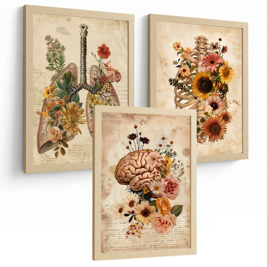 Set 3 Láminas de Anatomía Humana Floral Vintage Posters Decorativos con Pulmones Caja Torácica y Cerebro Cuadros Botánicos Estilo Antiguo