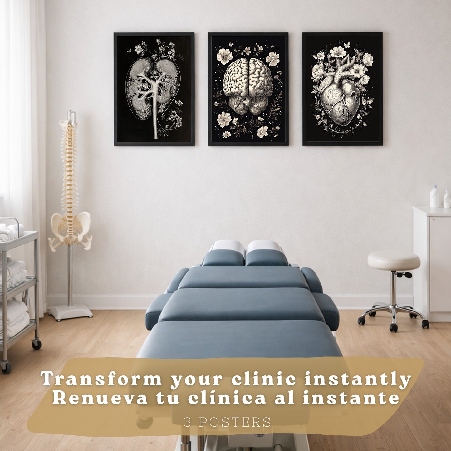 Set 3 Posters y Cuadros de Anatomía Humana Láminas con Riñón Sistema Urinario Cerebro y Corazón Diseño Clásico Blanco y Negro