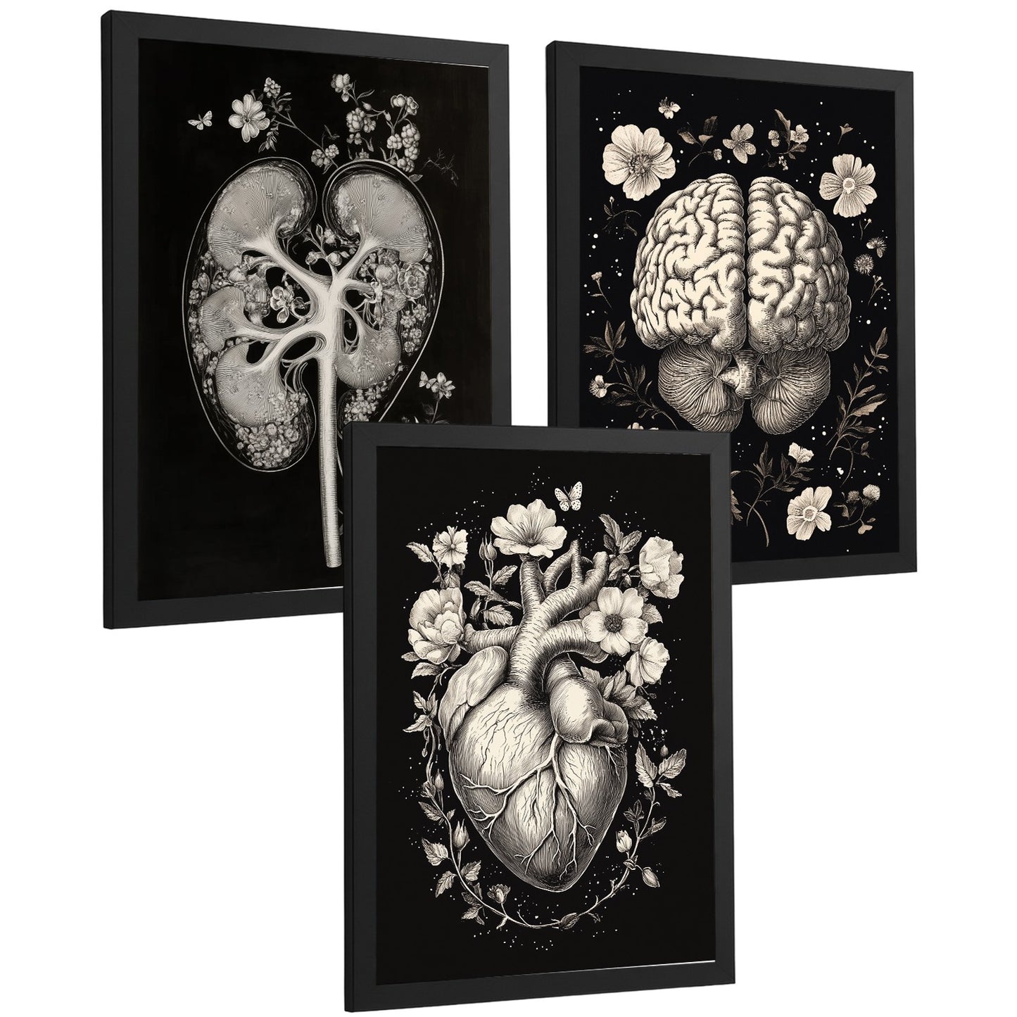 Set 3 Posters y Cuadros de Anatomía Humana Láminas con Riñón Sistema Urinario Cerebro y Corazón Diseño Clásico Blanco y Negro