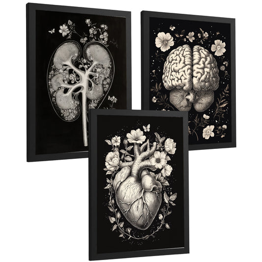 Set 3 Posters y Cuadros de Anatomía Humana Láminas con Riñón Sistema Urinario Cerebro y Corazón Diseño Clásico Blanco y Negro
