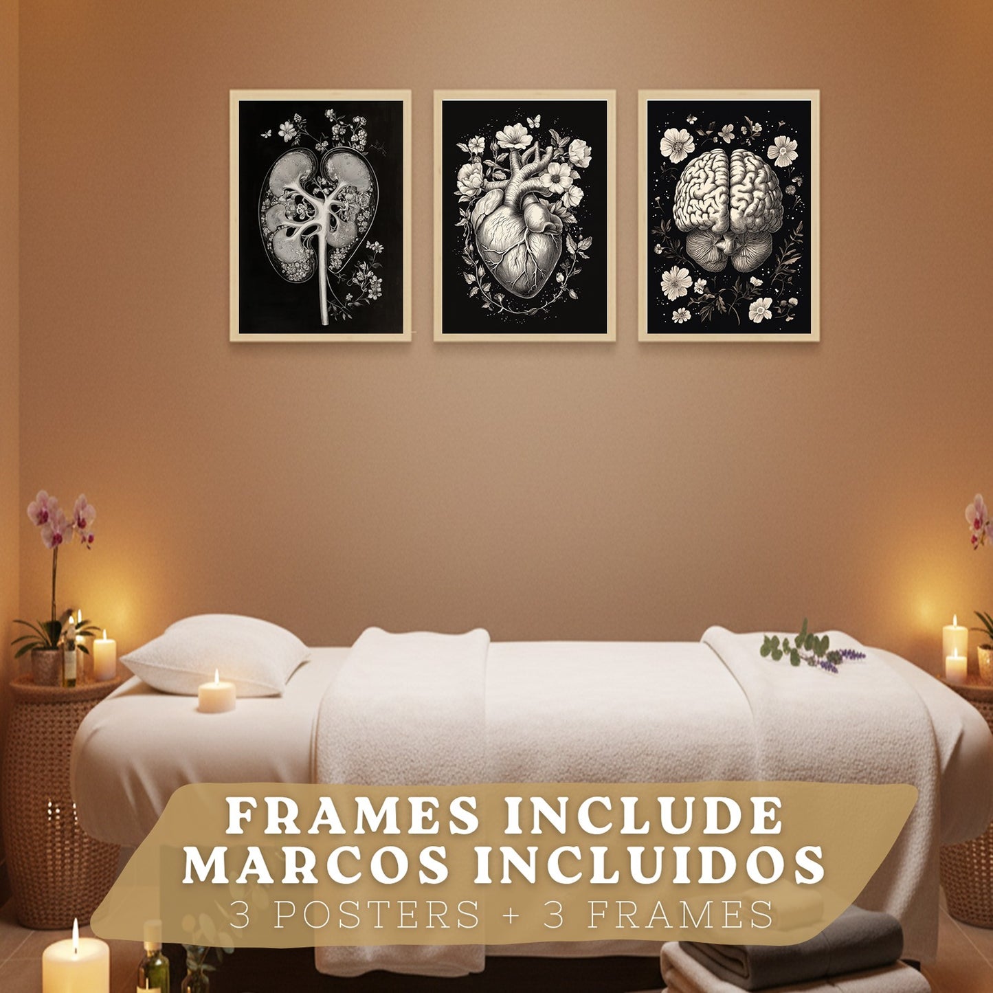 Set 3 Posters y Cuadros de Anatomía Humana Láminas con Riñón Sistema Urinario Cerebro y Corazón Diseño Clásico Blanco y Negro