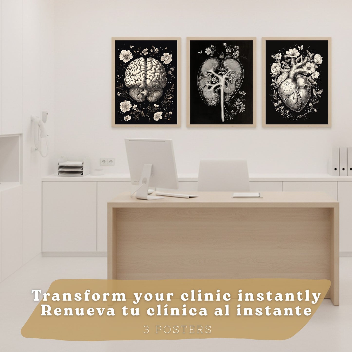 Set 3 Posters y Cuadros de Anatomía Humana Láminas con Riñón Sistema Urinario Cerebro y Corazón Diseño Clásico Blanco y Negro