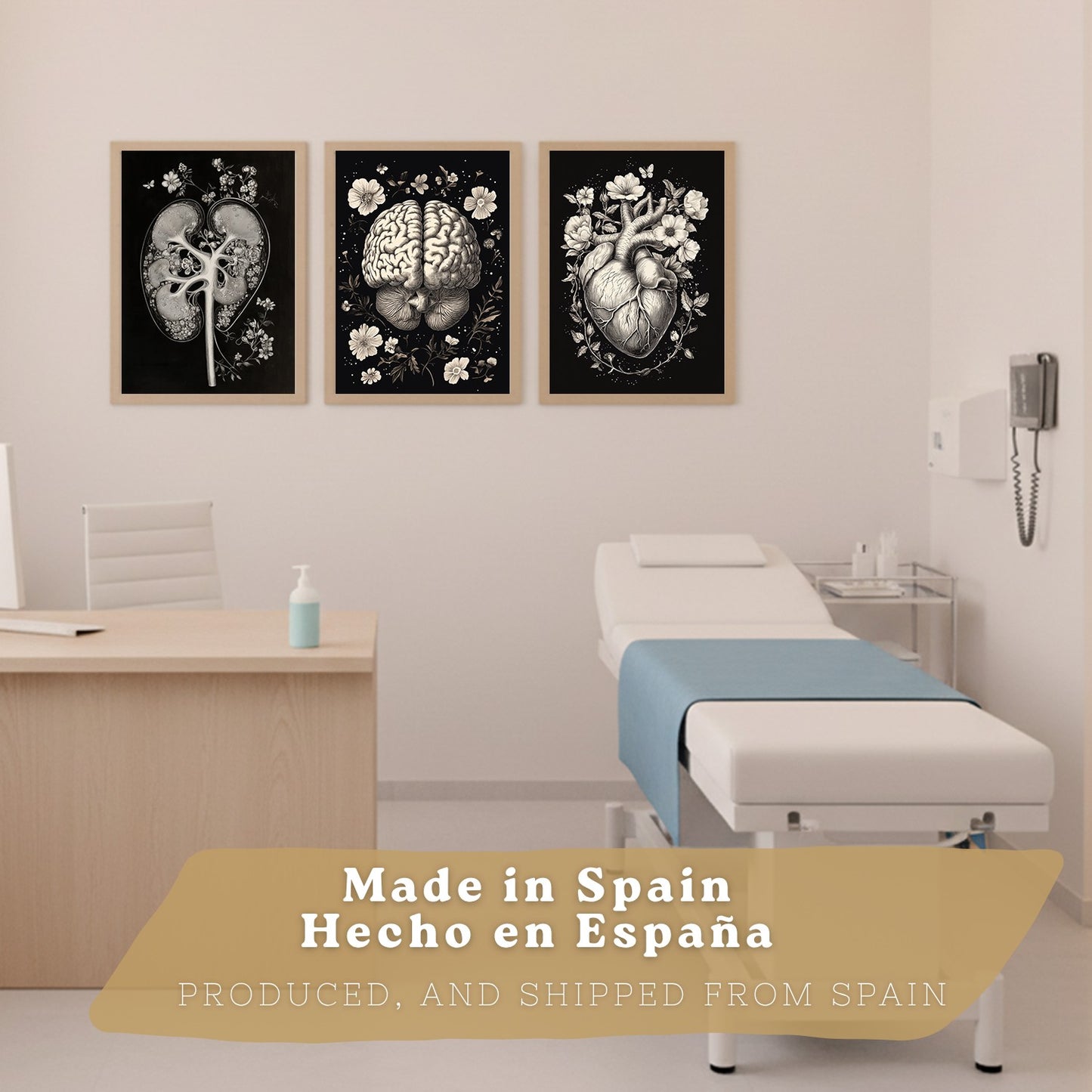 Set 3 Posters y Cuadros de Anatomía Humana Láminas con Riñón Sistema Urinario Cerebro y Corazón Diseño Clásico Blanco y Negro