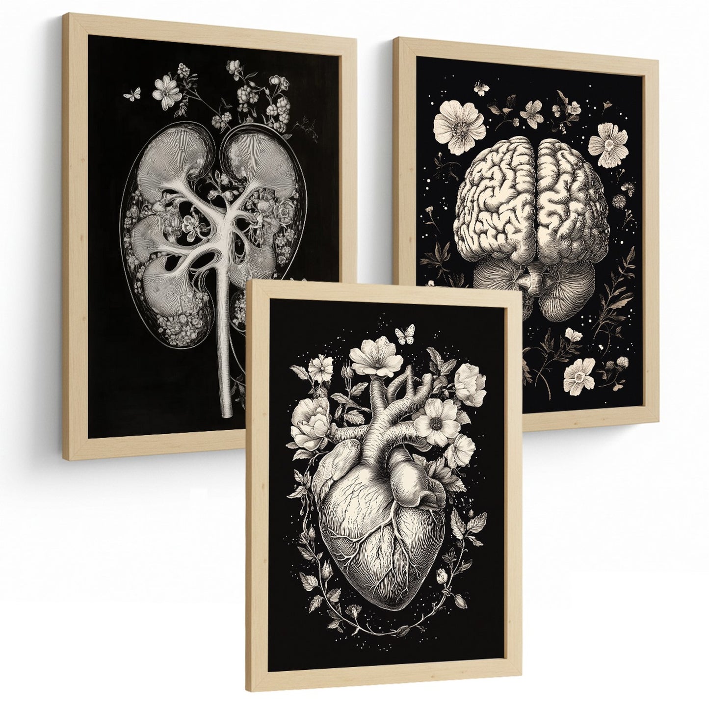 Set 3 Posters y Cuadros de Anatomía Humana Láminas con Riñón Sistema Urinario Cerebro y Corazón Diseño Clásico Blanco y Negro