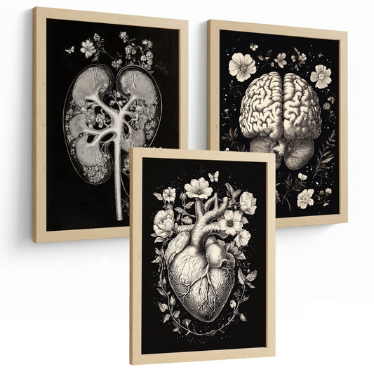 Set 3 Posters y Cuadros de Anatomía Humana Láminas con Riñón Sistema Urinario Cerebro y Corazón Diseño Clásico Blanco y Negro