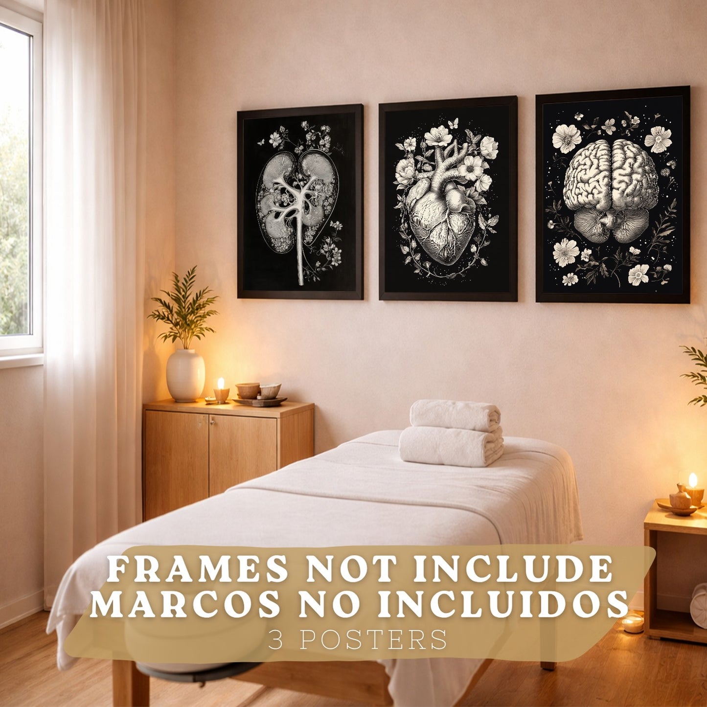 Set 3 Posters y Cuadros de Anatomía Humana Láminas con Riñón Sistema Urinario Cerebro y Corazón Diseño Clásico Blanco y Negro