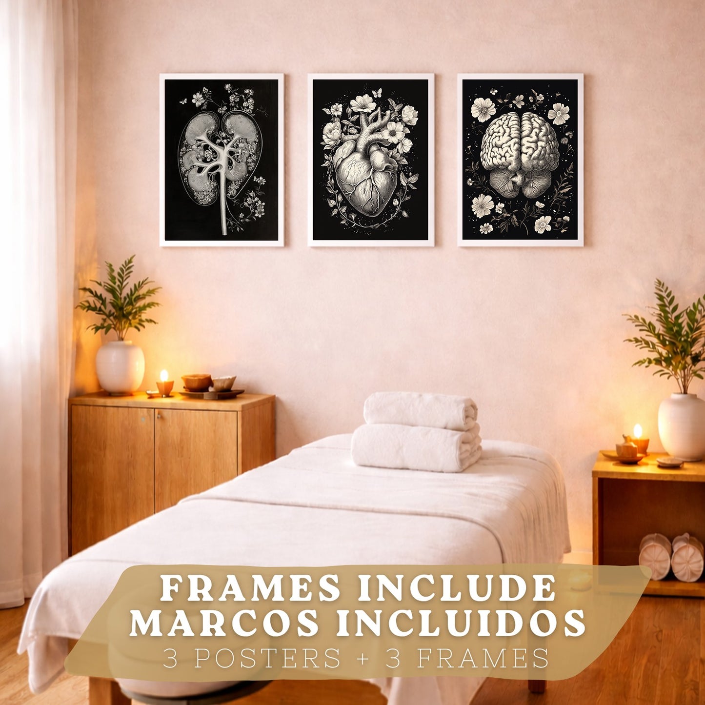 Set 3 Posters y Cuadros de Anatomía Humana Láminas con Riñón Sistema Urinario Cerebro y Corazón Diseño Clásico Blanco y Negro