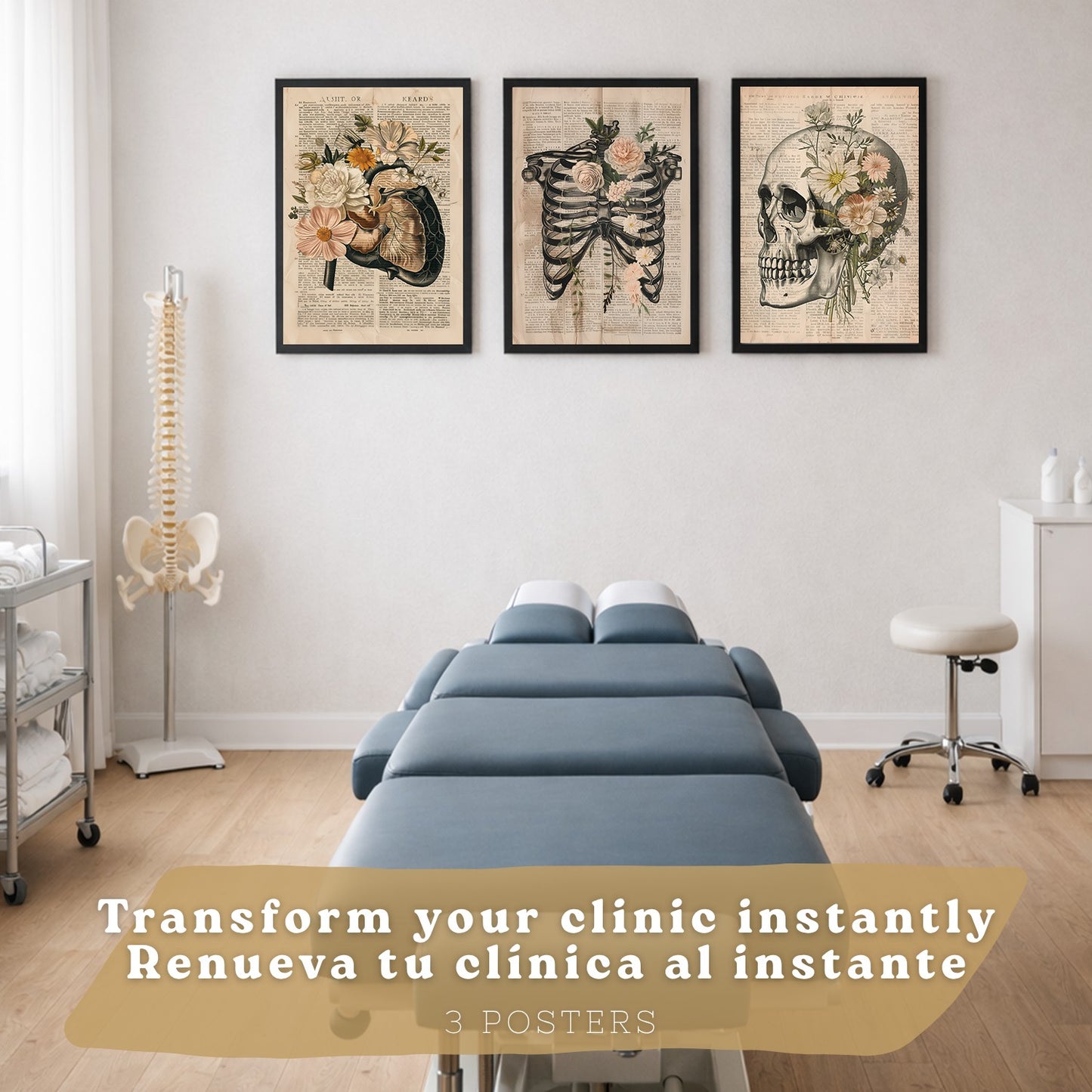 Set 3 Cuadros de Anatomía Humana Láminas con Higado, Costillas y Cráneo Estilo Retro Floral