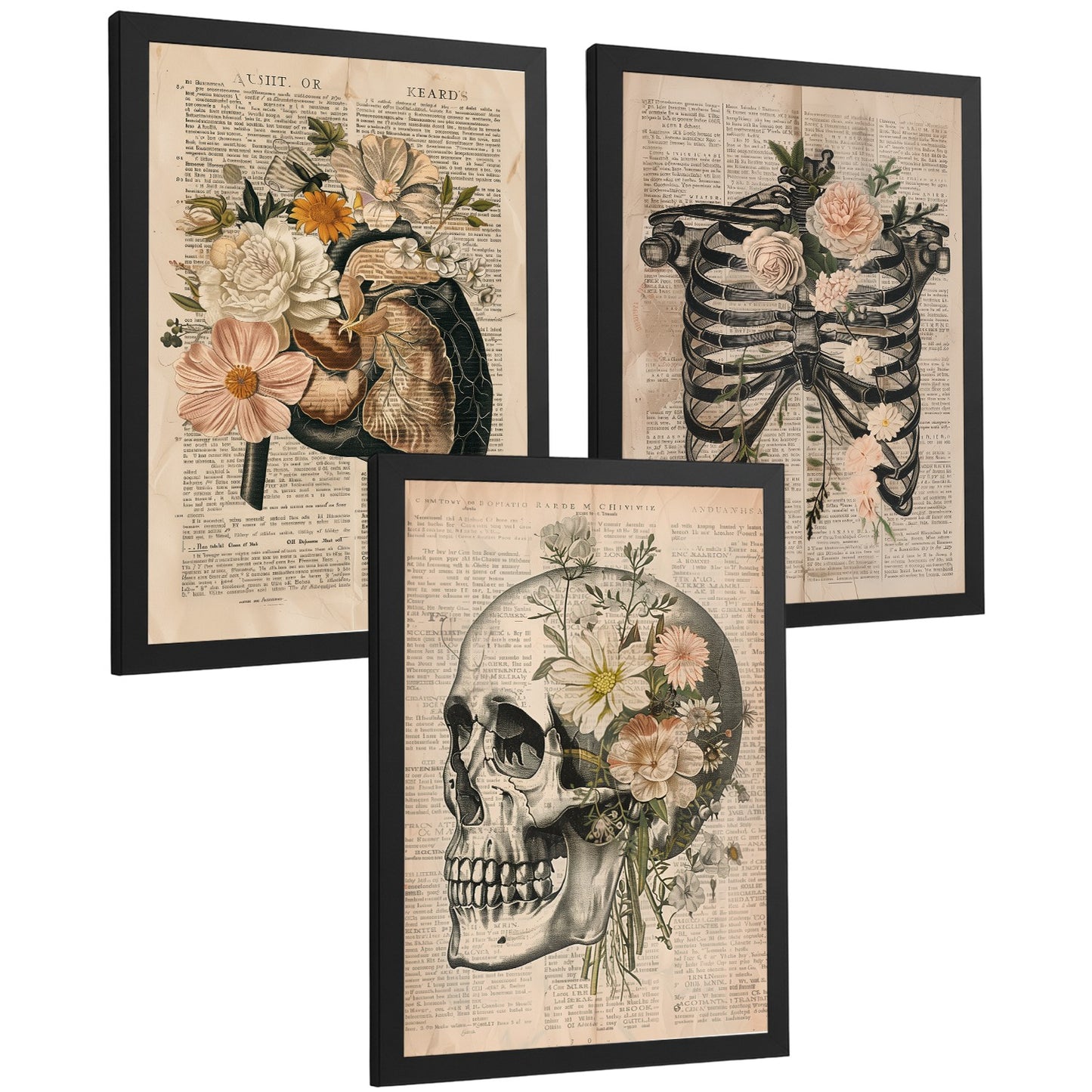 Set 3 Cuadros de Anatomía Humana Láminas con Higado, Costillas y Cráneo Estilo Retro Floral