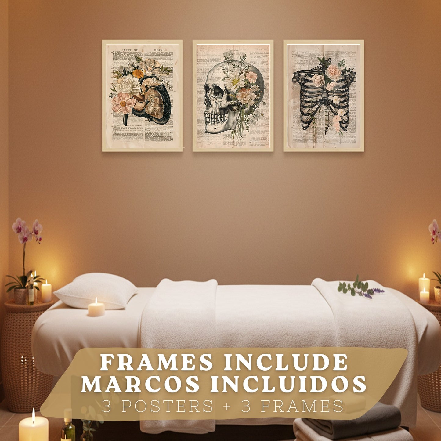 Set 3 Cuadros de Anatomía Humana Láminas con Higado, Costillas y Cráneo Estilo Retro Floral