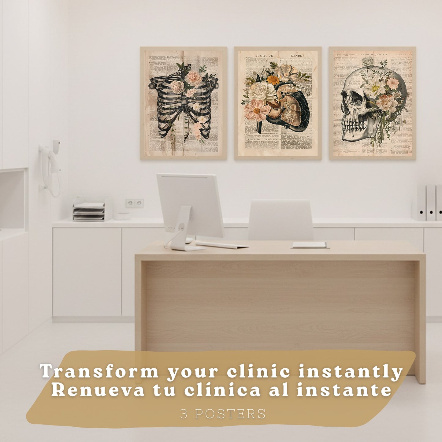 Set 4 Láminas de Anatomía Humana Posters Educativos con Músculos Espalda Costillas Cerebro y Cráneo Diseño Moderno