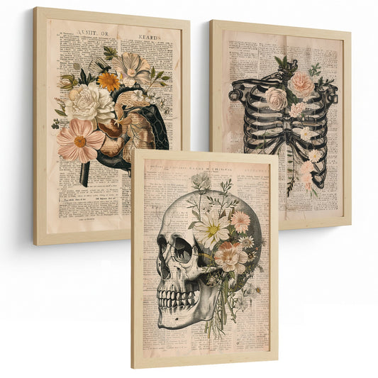 Set 3 Cuadros de Anatomía Humana Láminas con Higado, Costillas y Cráneo Estilo Retro Floral