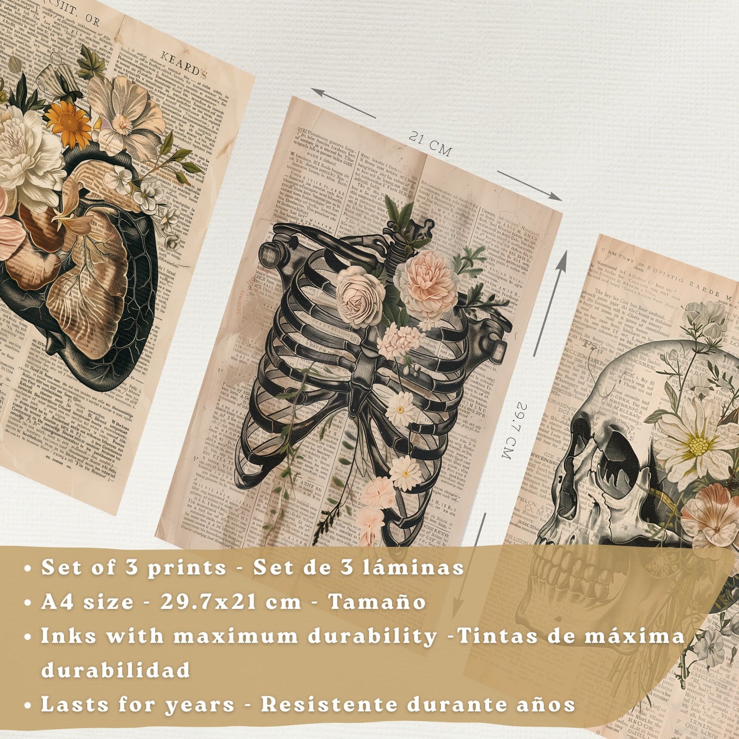 Set 3 Cuadros de Anatomía Humana Láminas con Higado, Costillas y Cráneo Estilo Retro Floral