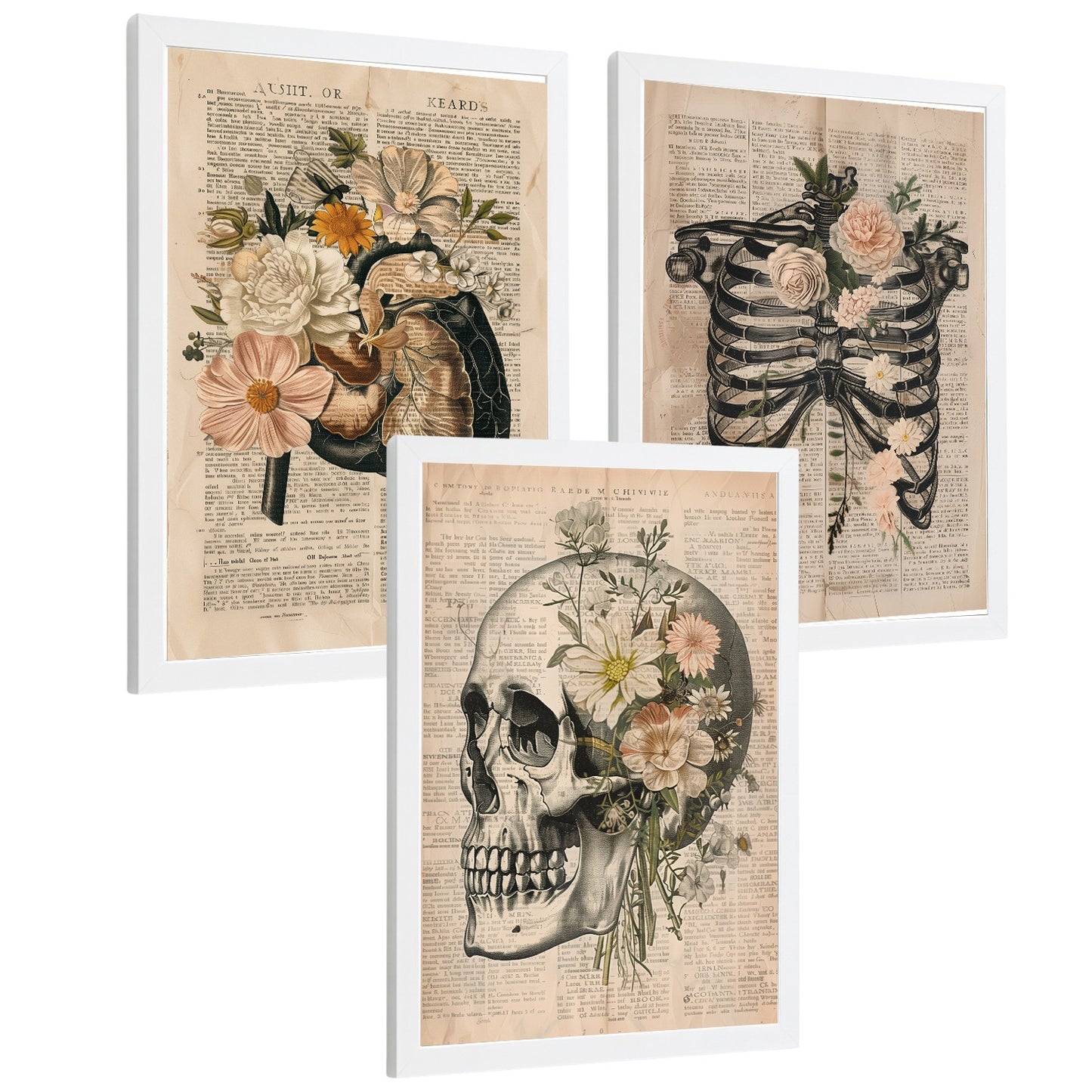 Set 3 Cuadros de Anatomía Humana Láminas con Higado, Costillas y Cráneo Estilo Retro Floral